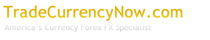 Trade Currency Now with Forex Now logo